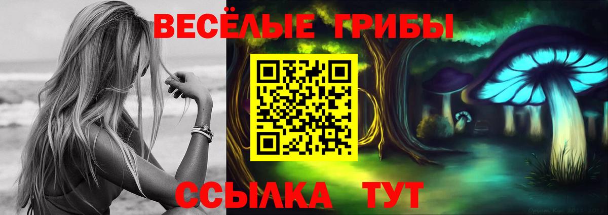 Псилоцибиновые грибы GOLDEN TEACHER  Вход с VPN  Псилоцибиновые грибы мухоморы  Севастополь 
